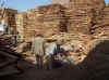 woodpile.jpg (69884 bytes)